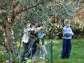 2004-10 7ans-amis 006